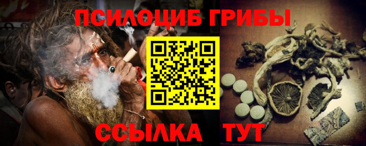 Галлюциногенные грибы Psilocybine cubensis Мирный