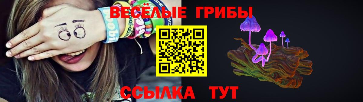 Мирный  Галлюциногенные грибы Psilocybe  Вход с VPN 