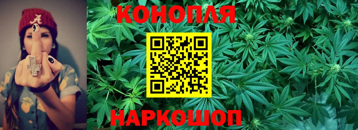 Шишки марихуана ГИДРОПОН Мирный